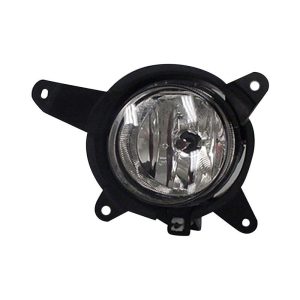 Fog Light Front Lamp For 02-05 Kia Sedona Driver Side Chrome Housing Clear Lens